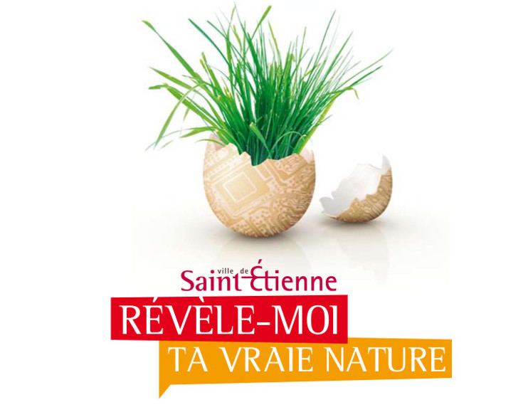 edition-ville-de-saint-etienne-corine-malaquin-conception-redaction-lyon