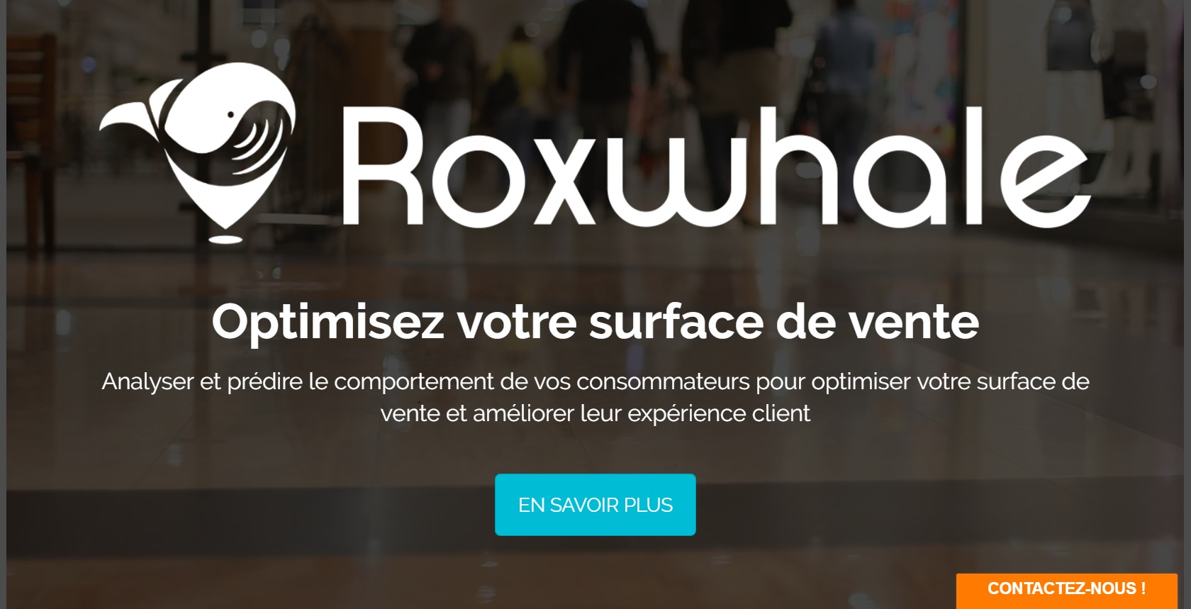 web-redaction-seo-reseaux-sociaux-roxwhale-site-corine-malaquin-conception-redaction-lyon