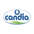 edition-candia-logo-corine-malaquin-conception-redaction-lyon