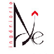 edition-axe-ingenierie-logo-corine-malaquin-conception-redaction-lyon