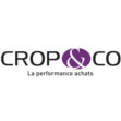conseil-en-strategie-crop-co-logo-corine-malaquin-conception-redaction-lyon