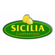 edition-sicilia-logo-corine-malaquin-conception-redaction-lyon
