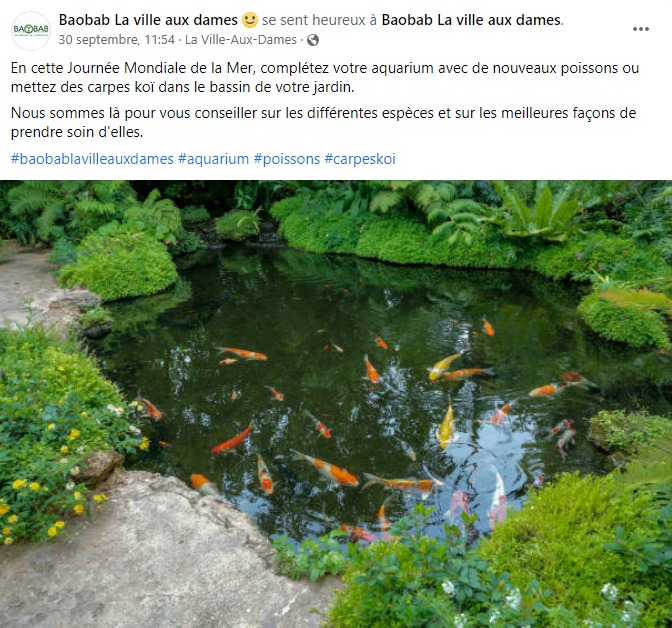 publication-facebook-post-rédaction-réseaux-sociaux-jardinage-baobab-la-ville-aux-dames