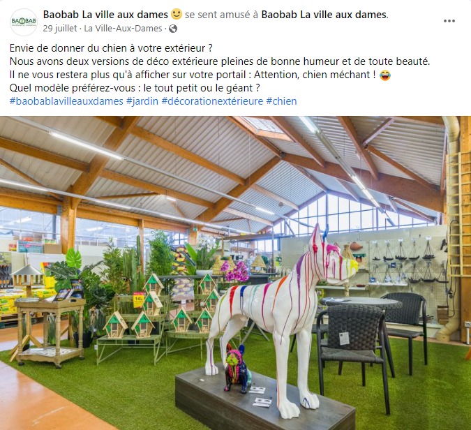 community-management-rédaction-post-facebook-décoration-baobab-la-ville-aux-dames
