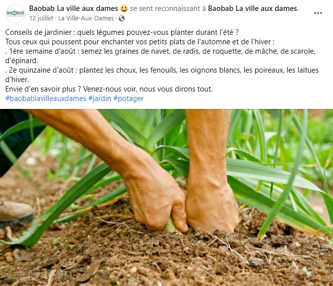 réseaux-sociaux-facebook-community-management-post-publication-rédaction-baobab-la-ville-aux-dames