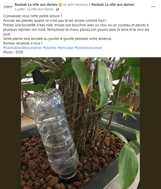 plantes-fleurs-community-management-réseaux-sociaux-facebook-rédaction-publication-baobab-la-ville-aux-dames