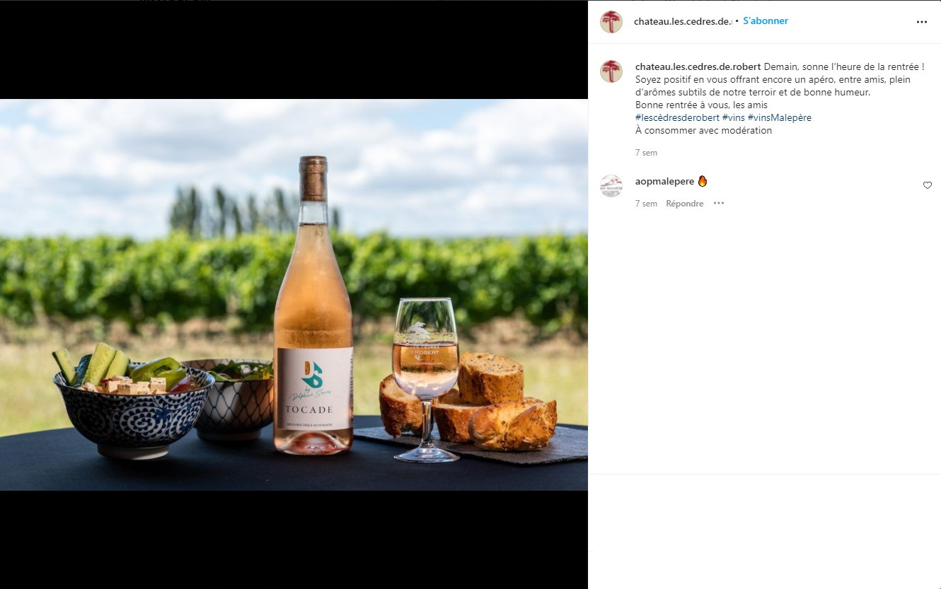 instagram-community-management-rédaction-publication-dégustation-domaine-viticole-vins-château-les-cèdres-de-robert-villesiscle