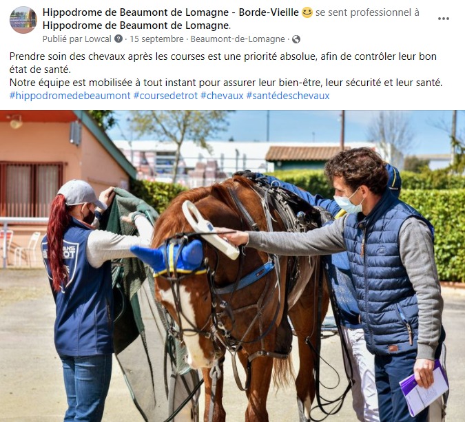 facebook-rédaction-post-chevaux-soigneurs-hippodrome-de-borde-vieille-de-beaumont-de-lomagne