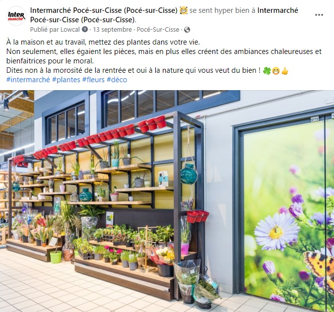 facebook-rédaction-post-plantes-fleurs-supermarché-intermarché-pocé-sur-cisse