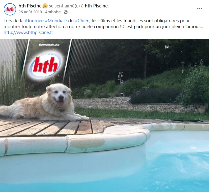 facebook-rédaction-post-événement-journée-des-animaux-hth-piscine-amboise